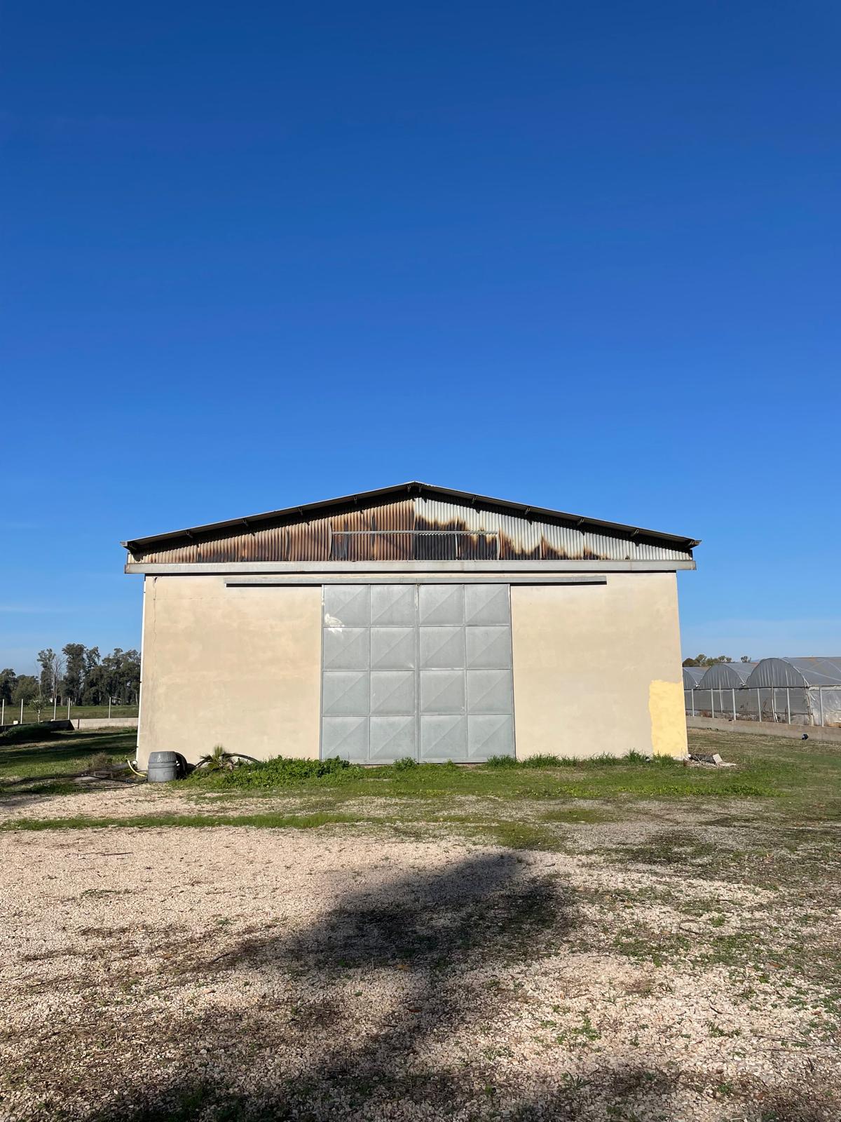 WhatsApp Image 2025-04-10 at 16.20.15 2.jpeg